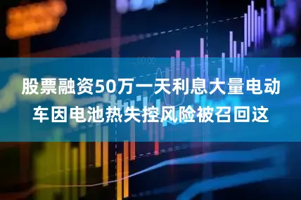 股票融资50万一天利息大量电动车因电池热失控风险被召回这